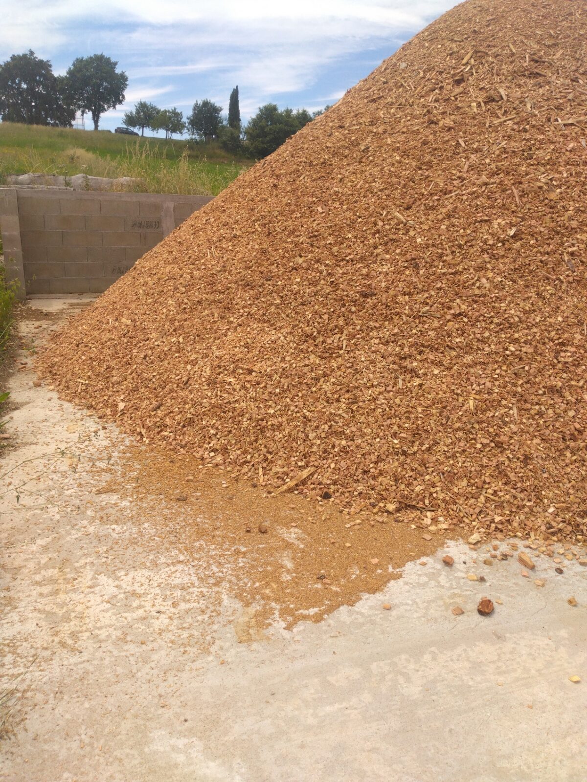 Copeaux et écorces de bois pour paillage de jardin, Scierie GRAS Tarn-et-Garonne — Copeaux et écorces